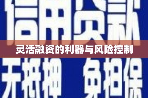 大内灵活融资的利器与风险控制