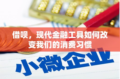 大内借呗，现代金融工具如何改变我们的消费习惯
