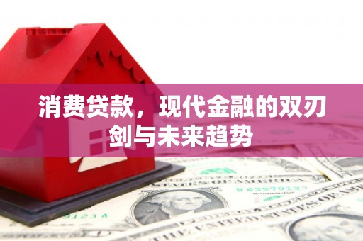 大内消费贷款，现代金融的双刃剑与未来趋势