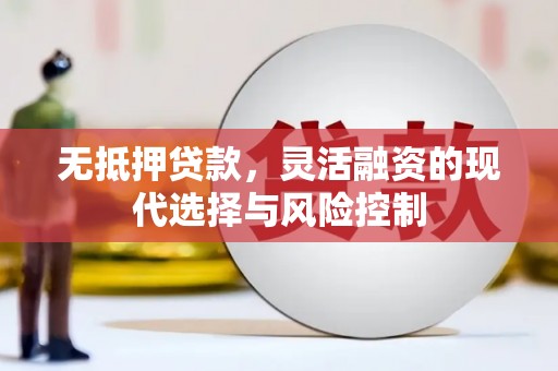 大内无抵押贷款，灵活融资的现代选择与风险控制
