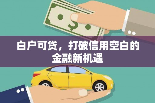 大内白户可贷，打破信用空白的金融新机遇
