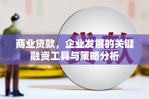 大内商业贷款，企业发展的关键融资工具与策略分析