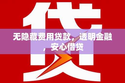 大内无隐藏费用贷款，透明金融，安心借贷