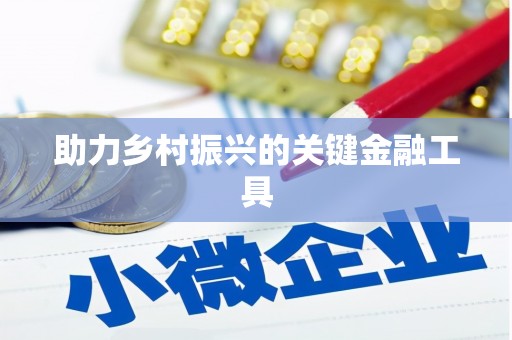 大内助力乡村振兴的关键金融工具