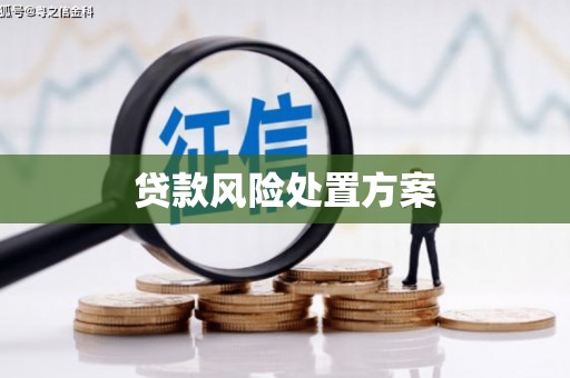 大内贷款风险处置方案