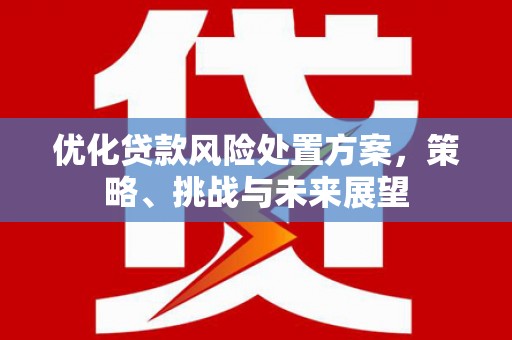 大内优化贷款风险处置方案，策略、挑战与未来展望