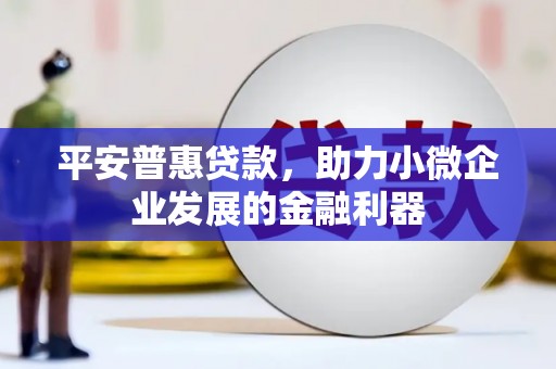 大内平安普惠贷款，助力小微企业发展的金融利器