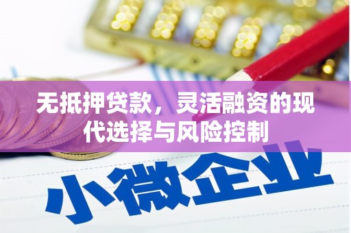 大内无抵押贷款，灵活融资的现代选择与风险控制