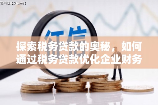 大内探索税务贷款的奥秘，如何通过税务贷款优化企业财务