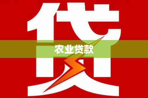 大内农业贷款