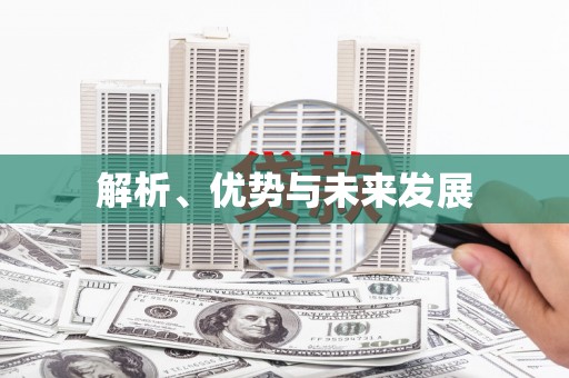 大内解析、优势与未来发展