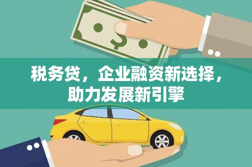 大内税务贷，企业融资新选择，助力发展新引擎