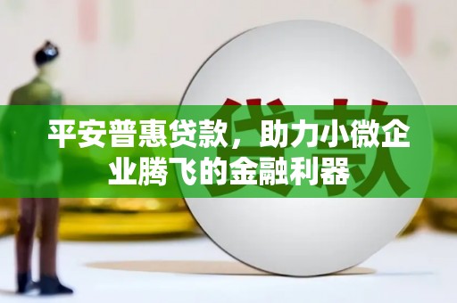大内平安普惠贷款，助力小微企业腾飞的金融利器