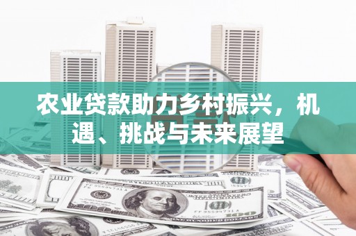 大内农业贷款助力乡村振兴，机遇、挑战与未来展望