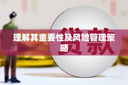 大内理解其重要性及风险管理策略