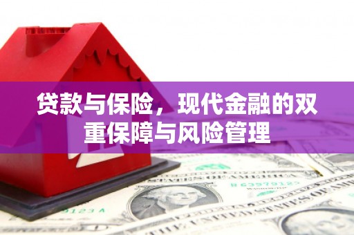 大内贷款与保险，现代金融的双重保障与风险管理