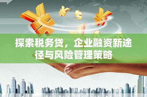 大内探索税务贷，企业融资新途径与风险管理策略
