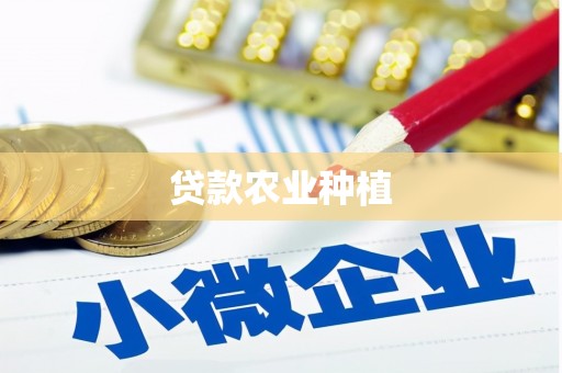 大内贷款农业种植