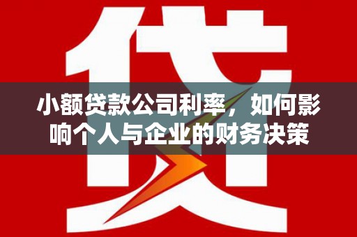 大内小额贷款公司利率，如何影响个人与企业的财务决策