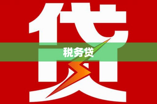 大内税务贷