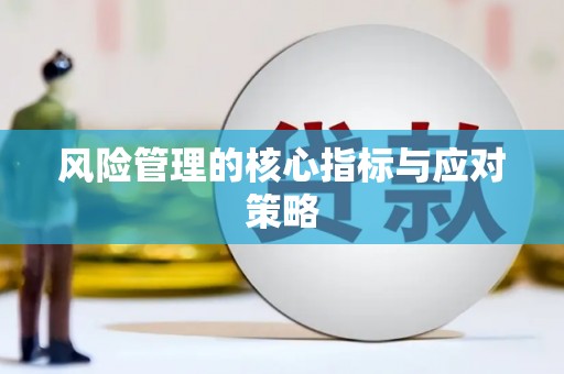 大内风险管理的核心指标与应对策略