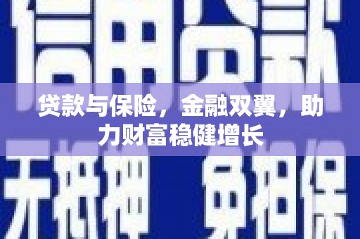 大内贷款与保险，金融双翼，助力财富稳健增长