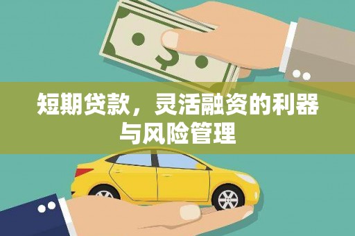 大内短期贷款，灵活融资的利器与风险管理