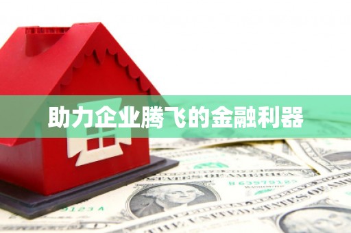 大内助力企业腾飞的金融利器