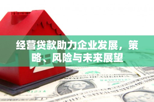 大内经营贷款助力企业发展，策略、风险与未来展望