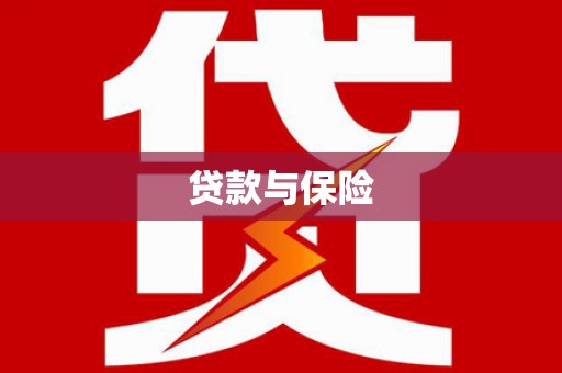 大内贷款与保险