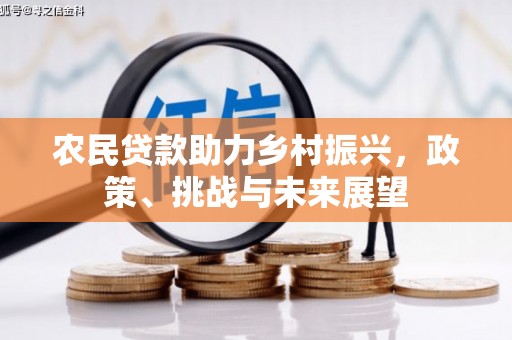 大内农民贷款助力乡村振兴，政策、挑战与未来展望