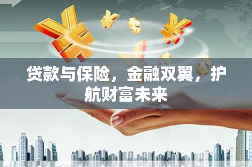 大内贷款与保险，金融双翼，护航财富未来