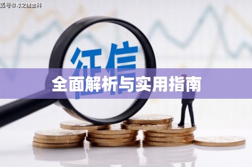 大内全面解析与实用指南