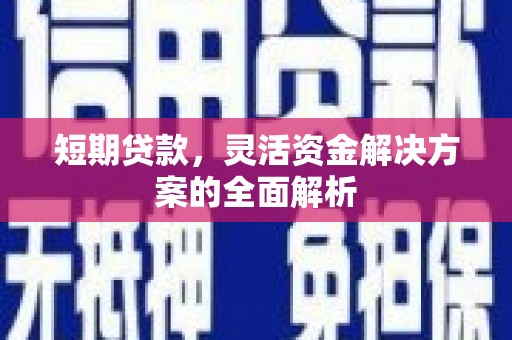 大内短期贷款，灵活资金解决方案的全面解析