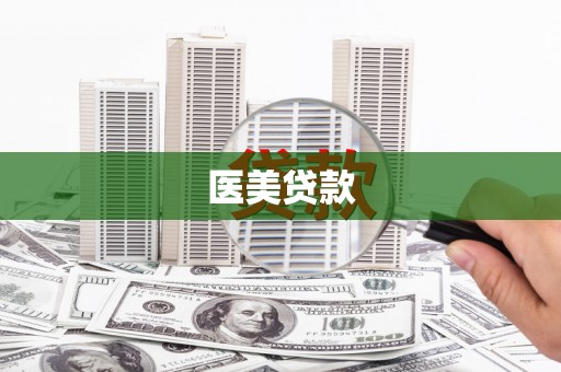 大内医美贷款