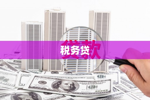 大内税务贷