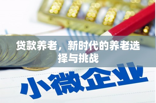 大内贷款养老，新时代的养老选择与挑战