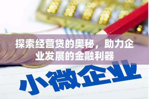 大内探索经营贷的奥秘，助力企业发展的金融利器