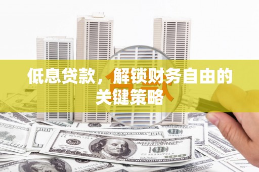 大内低息贷款，解锁财务自由的关键策略