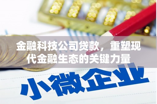 大内金融科技公司贷款，重塑现代金融生态的关键力量