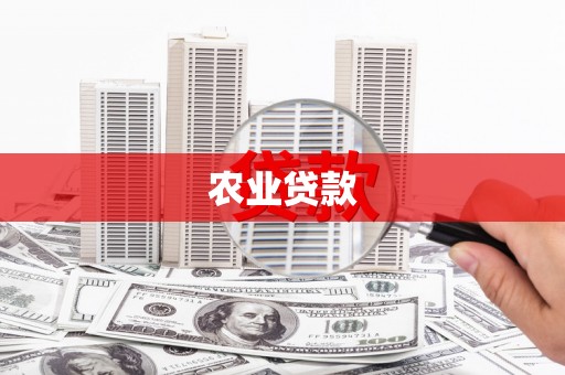 大内农业贷款