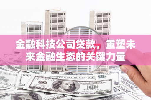 大内金融科技公司贷款，重塑未来金融生态的关键力量