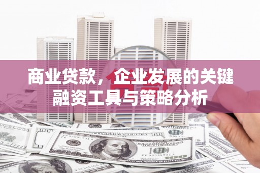 大内商业贷款，企业发展的关键融资工具与策略分析