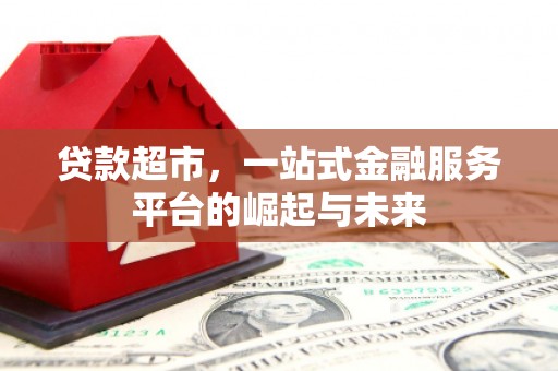 大内贷款超市，一站式金融服务平台的崛起与未来