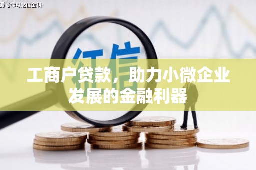 大内工商户贷款，助力小微企业发展的金融利器