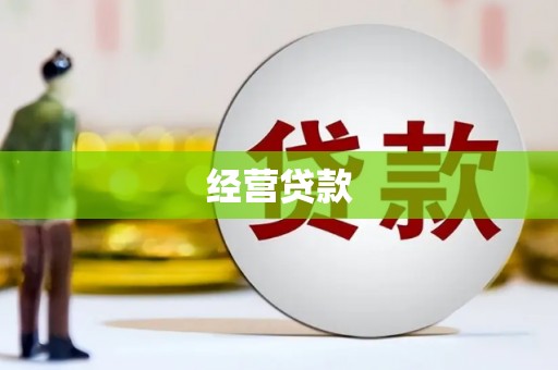 大内经营贷款