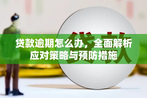 大内贷款逾期怎么办，全面解析应对策略与预防措施