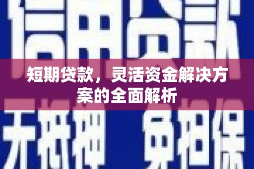 大内短期贷款，灵活资金解决方案的全面解析