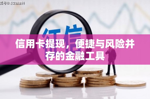 大内信用卡提现，便捷与风险并存的金融工具