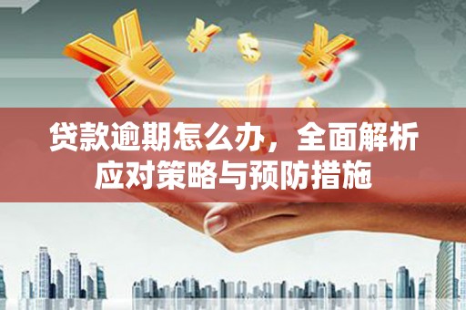 大内贷款逾期怎么办，全面解析应对策略与预防措施